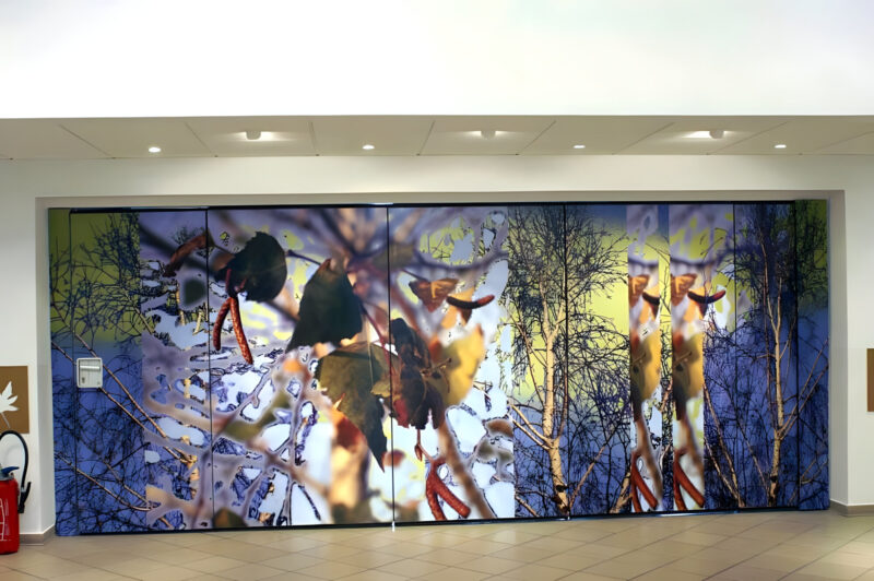 Évasion à l’orangerie de Saint Symphorien d’Ozon